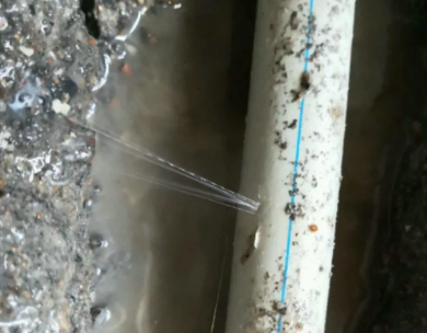 永登测漏水哪家好