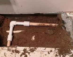 永登测漏水哪家好