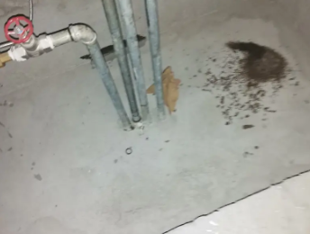 永登卫生间测漏水价格明细